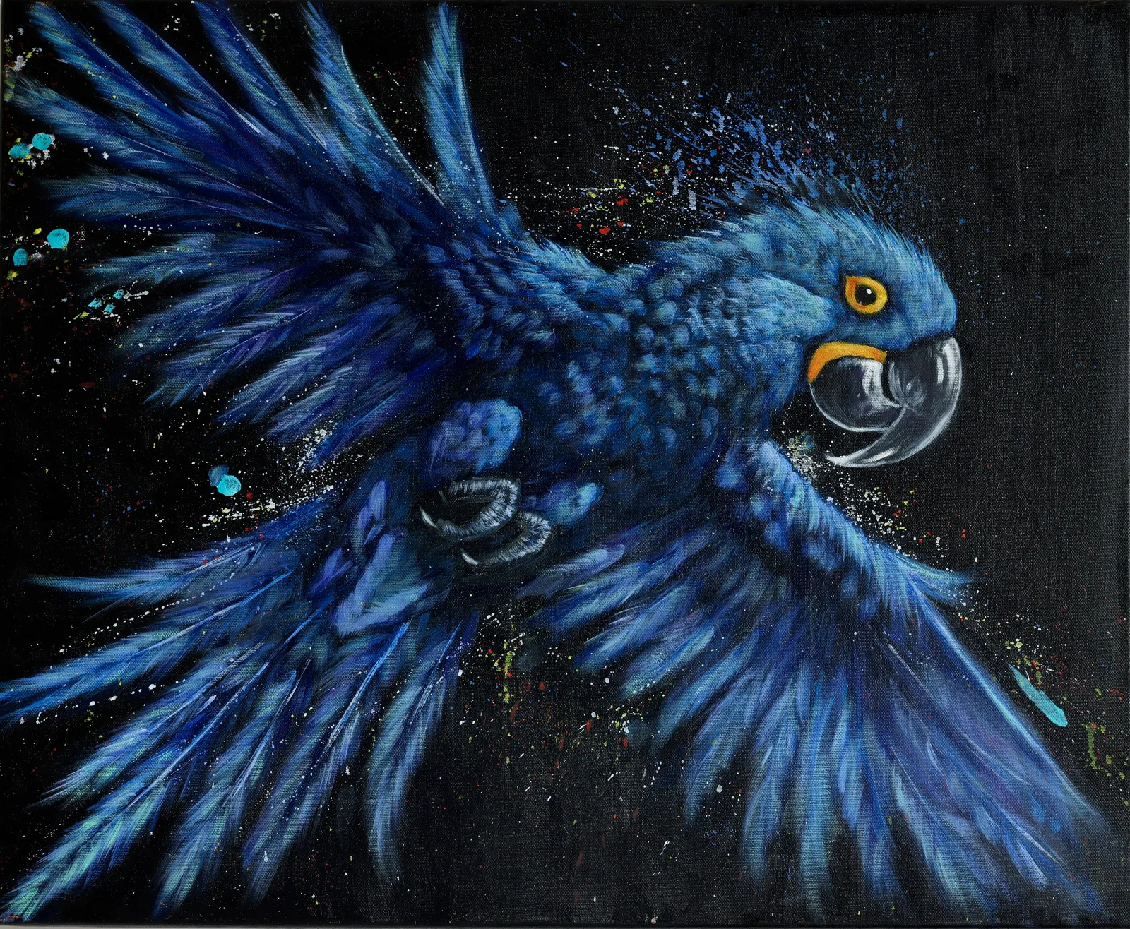 Apparition nocturne — vue 1